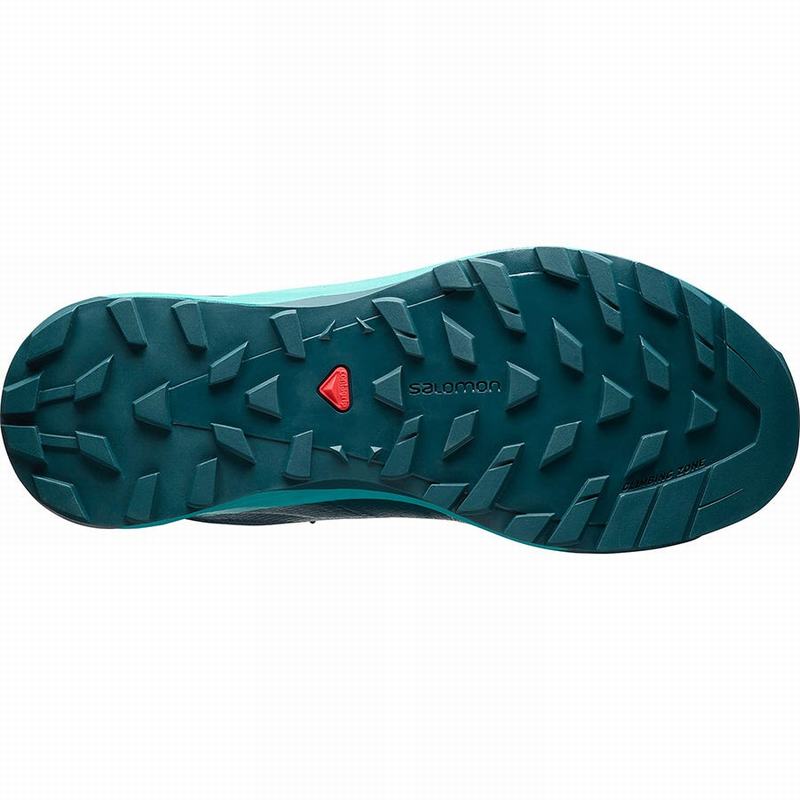 Chaussure de Randonnée Salomon X ALPINE W /PRO Femme Turquoise Bleu | RDXON-5862