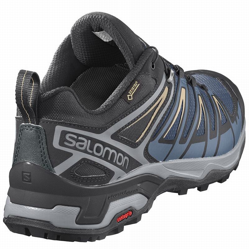 Chaussure de Randonnée Salomon X ULTRA 3 GORE-TEX Homme Bleu Marine Bleu | CQKGX-5074