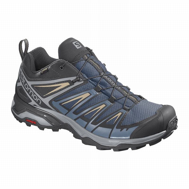 Chaussure de Randonnée Salomon X ULTRA 3 GORE-TEX Homme Bleu Marine Bleu | CQKGX-5074