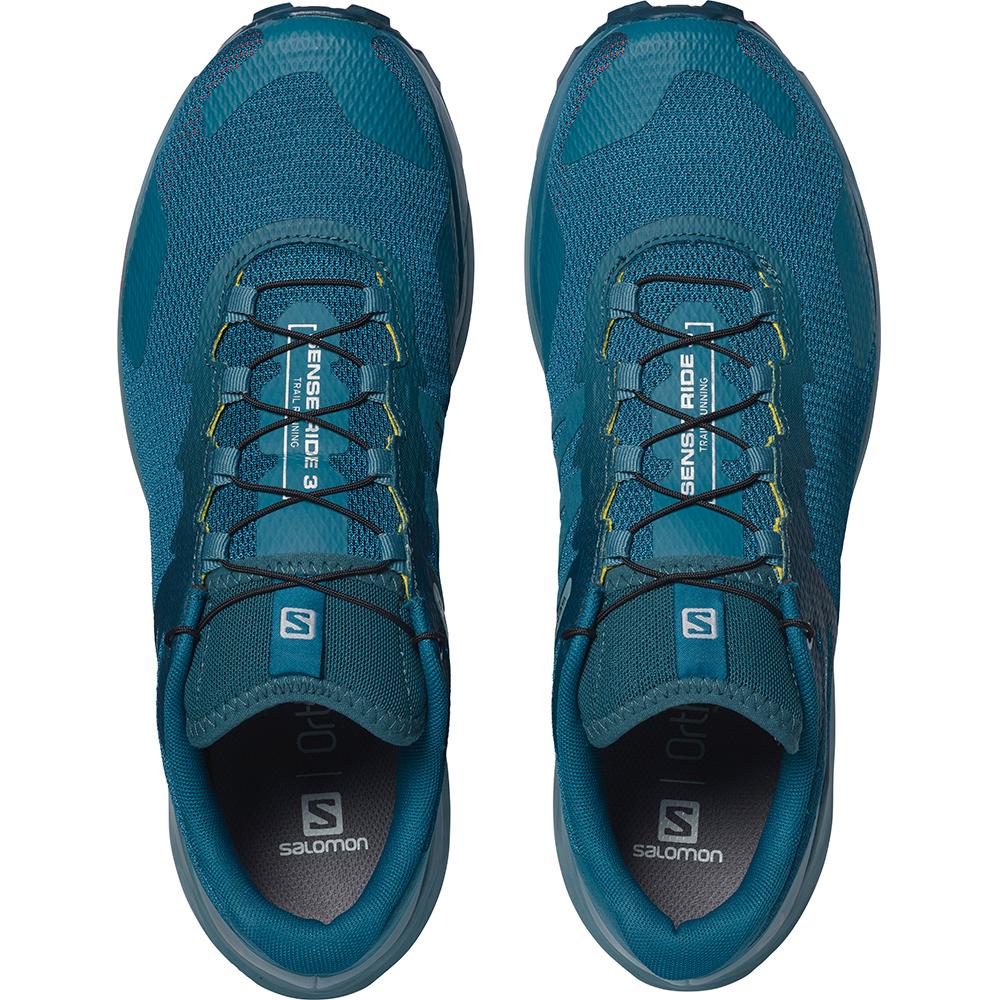 Chaussures Running Route Salomon SENSE RIDE 3 Homme Bleu | JBXZU-5927