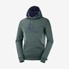 Couches Intermédiaires Salomon SHIFT HOODIE M Homme Vert | SFJNW-6902