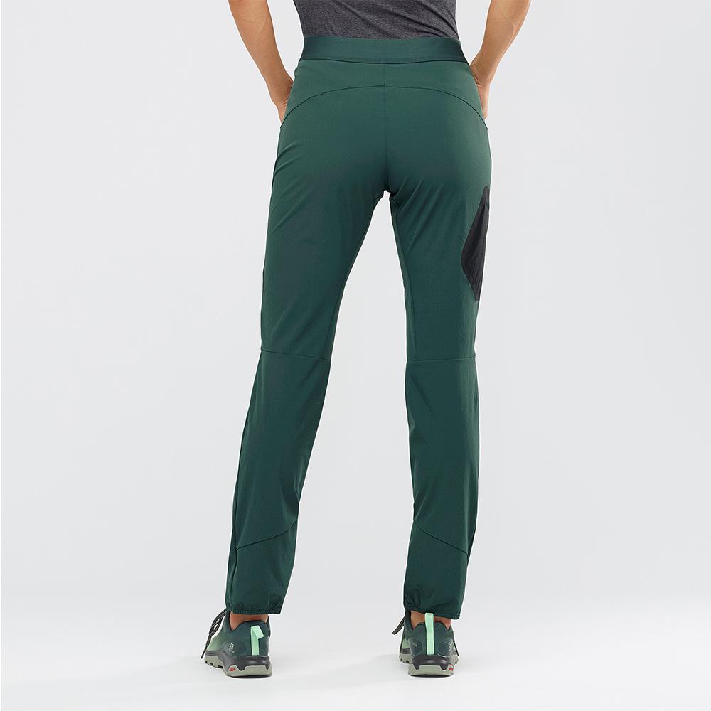 Pantalon Salomon WAYFARER ALPINE W Femme Vert | VGADQ-5471