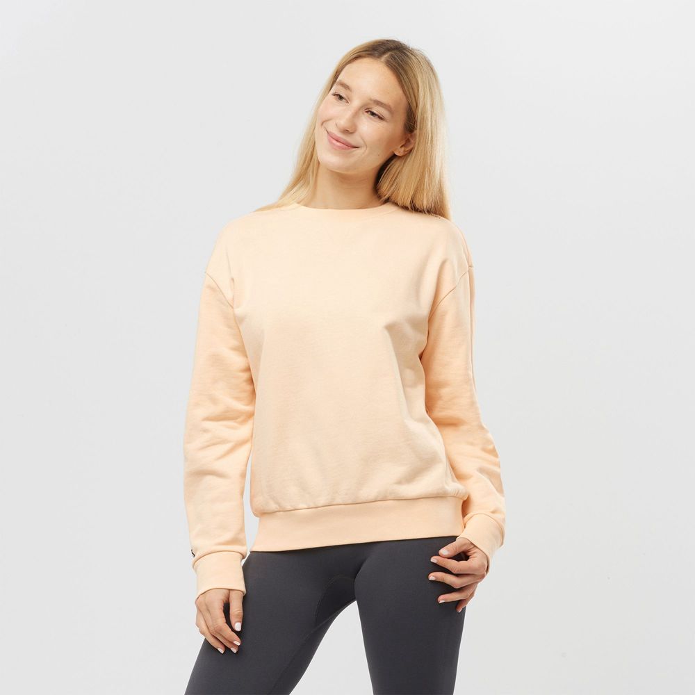 Pulls De Golf Salomon OUTLIFE SUMMER Crewneck Femme Beige | VLZPS-8713