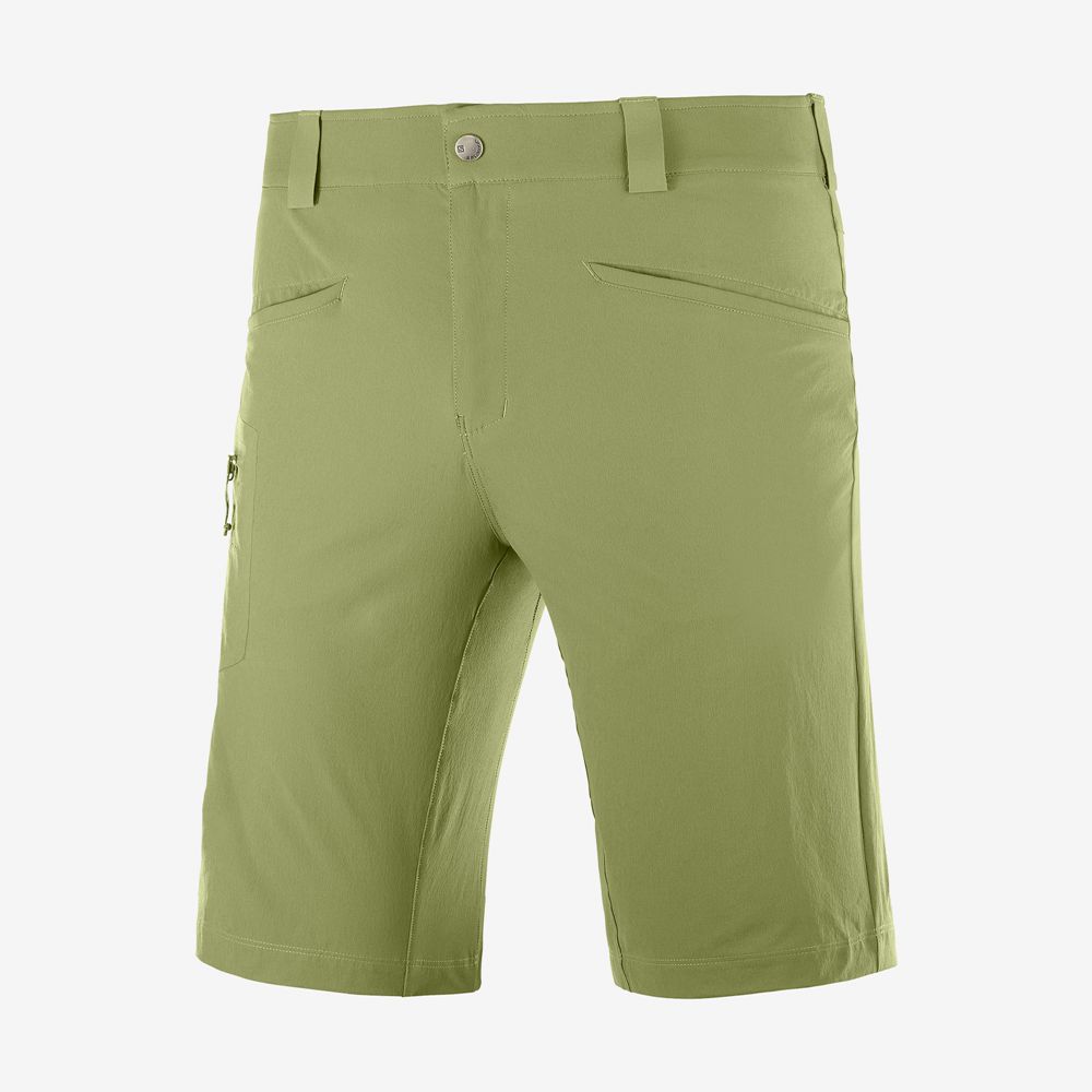 Short Salomon WAYFARER ALL SEASON STRAIGHT M Homme Vert Olive Vert | QSIWF-2867