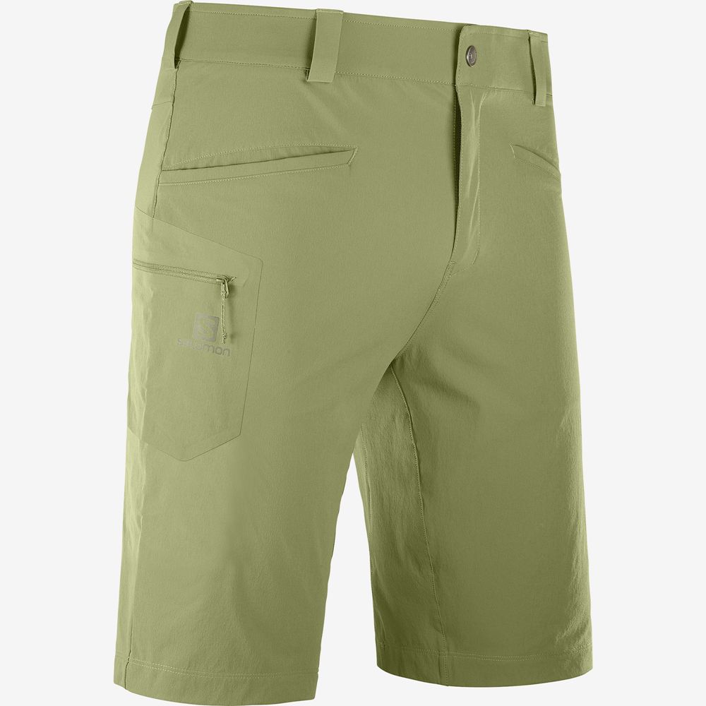 Short Salomon WAYFARER ALL SEASON STRAIGHT M Homme Vert Olive Vert | QSIWF-2867