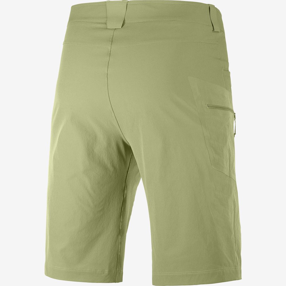 Short Salomon WAYFARER ALL SEASON STRAIGHT M Homme Vert Olive Vert | QSIWF-2867