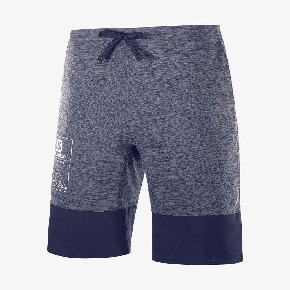 Short Salomon XA TRAINING Homme Grise Bleu Marine | ZSDIK-1728