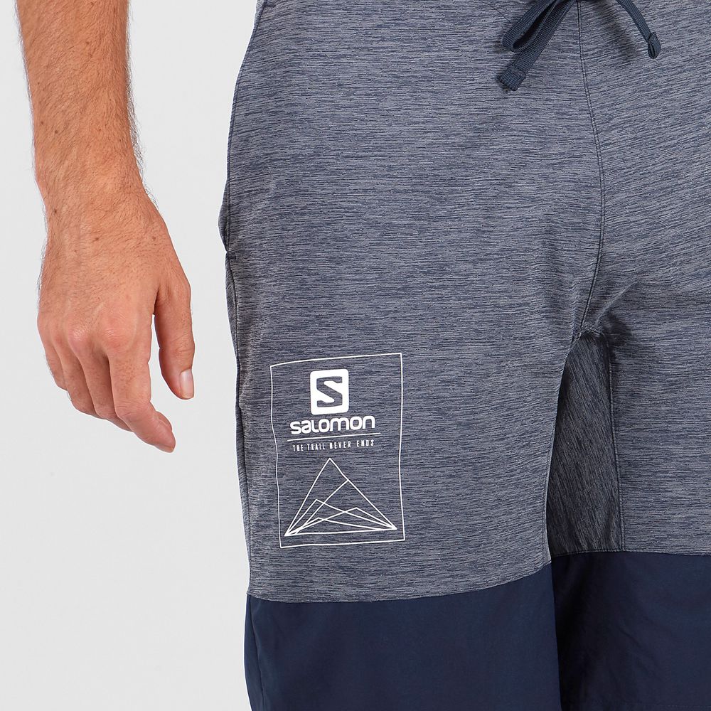 Short Salomon XA TRAINING Homme Grise Bleu Marine | ZSDIK-1728