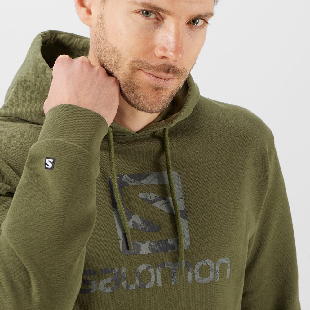 Sweat a Capuche Salomon OUTLIFE LOGO SUMMER Sportswear Homme Vert Olive | QICTX-3927