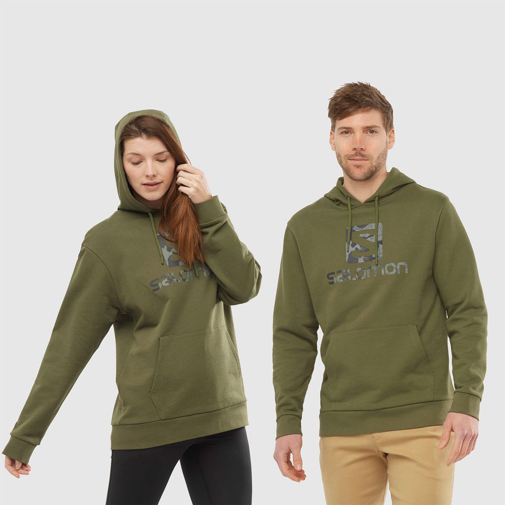 Sweat a Capuche Salomon OUTLIFE LOGO SUMMER Sportswear Homme Vert Olive | QICTX-3927