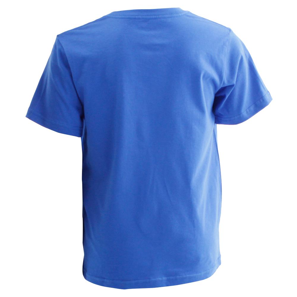 T Shirts Salomon ACHIEVE SS B Enfant Bleu | JFGOA-0264