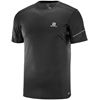 T Shirts Salomon AGILE SS M Homme Noir | POYAK-9032