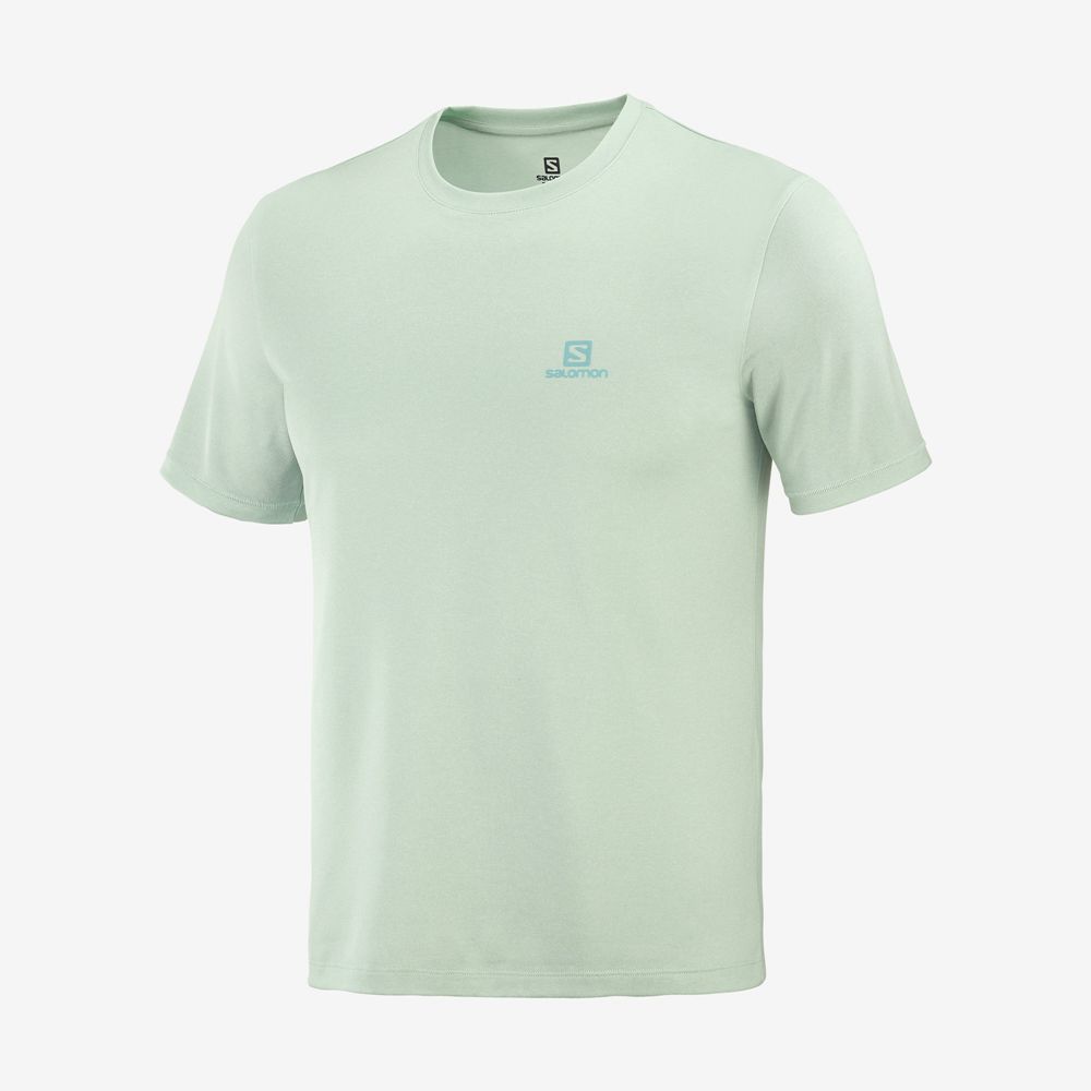 T Shirts Salomon EXPLORE M Short Sleeve Homme Bleu | YATOV-3290