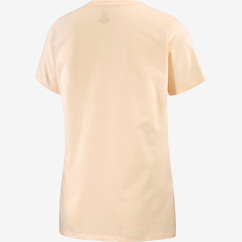 T Shirts Salomon OUTLIFE BIG LOGO Short Sleeve Femme Beige | OHBED-6354