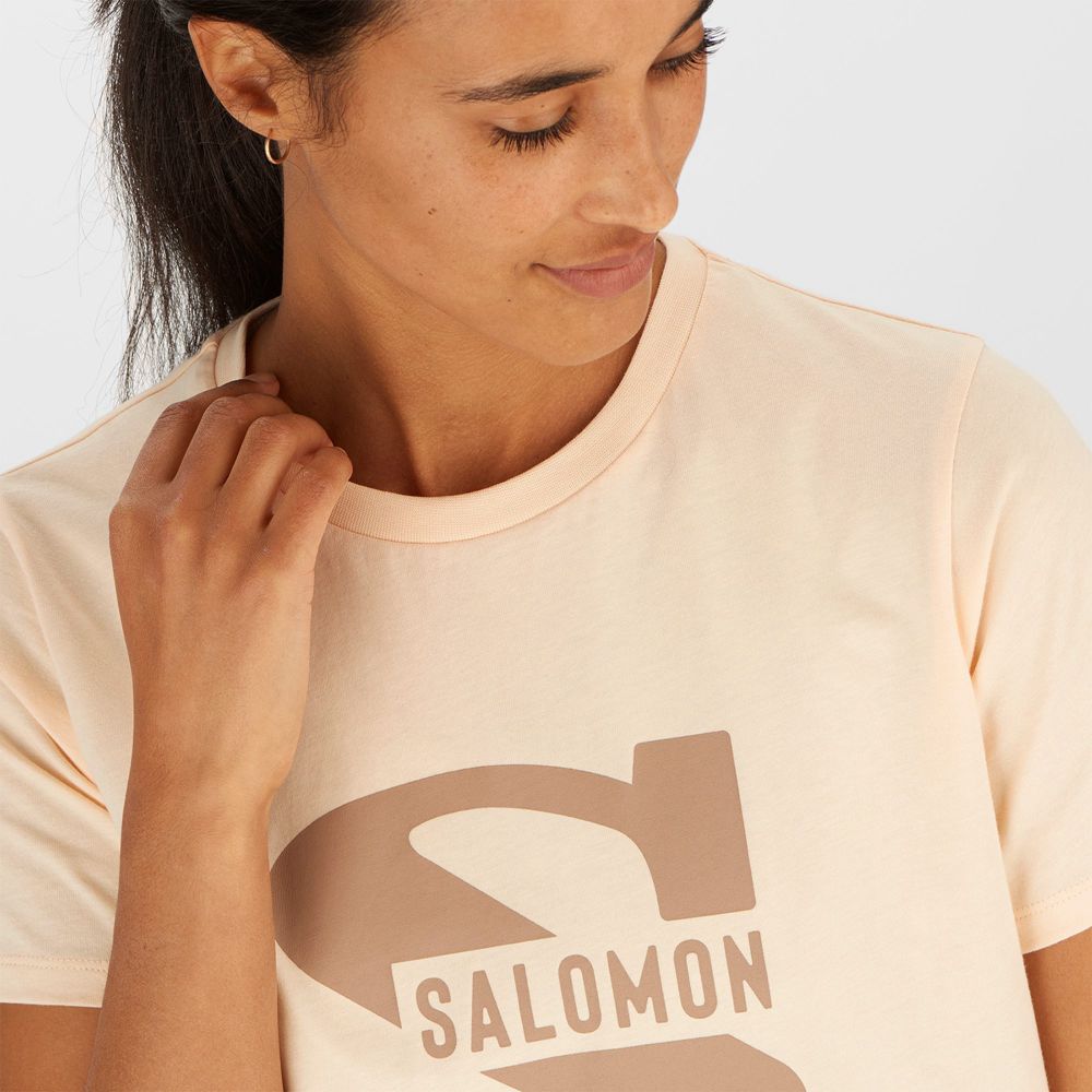 T Shirts Salomon OUTLIFE BIG LOGO Short Sleeve Femme Beige | OHBED-6354