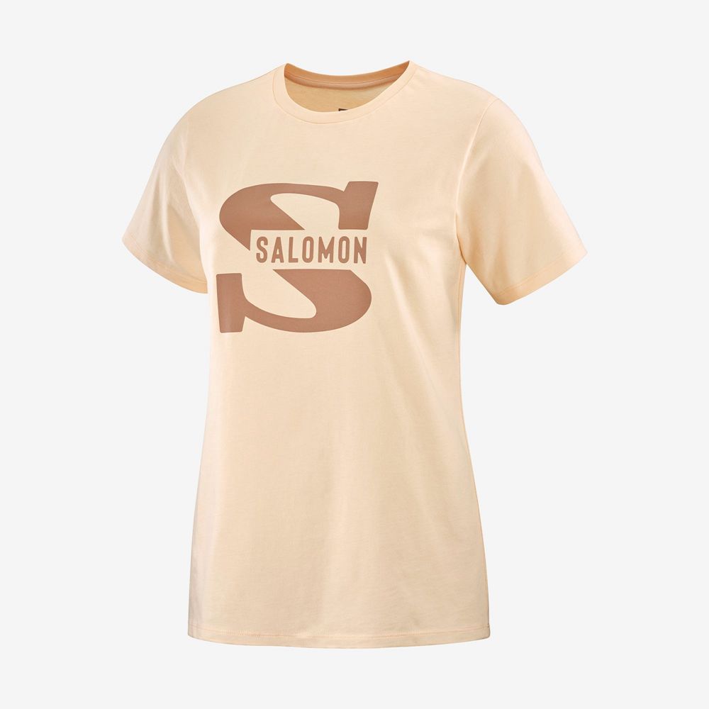 T Shirts Salomon OUTLIFE BIG LOGO Short Sleeve Femme Beige | OHBED-6354