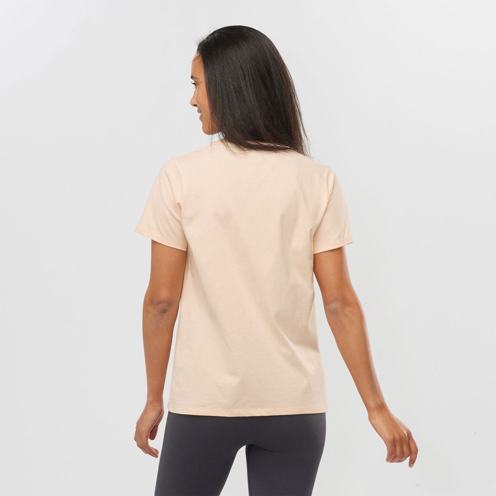 T Shirts Salomon OUTLIFE BIG LOGO Short Sleeve Femme Beige | OHBED-6354