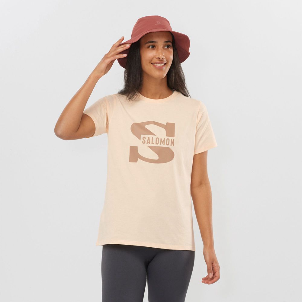 T Shirts Salomon OUTLIFE BIG LOGO Short Sleeve Femme Beige | OHBED-6354