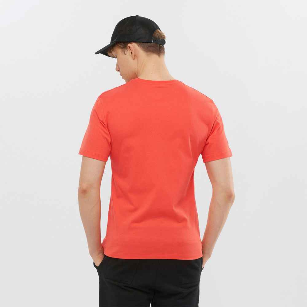 T Shirts Salomon OUTLIFE GRAPHIC DISRUPTED LOGO SS M Short Sleeve Homme Orange | YTVXM-2634