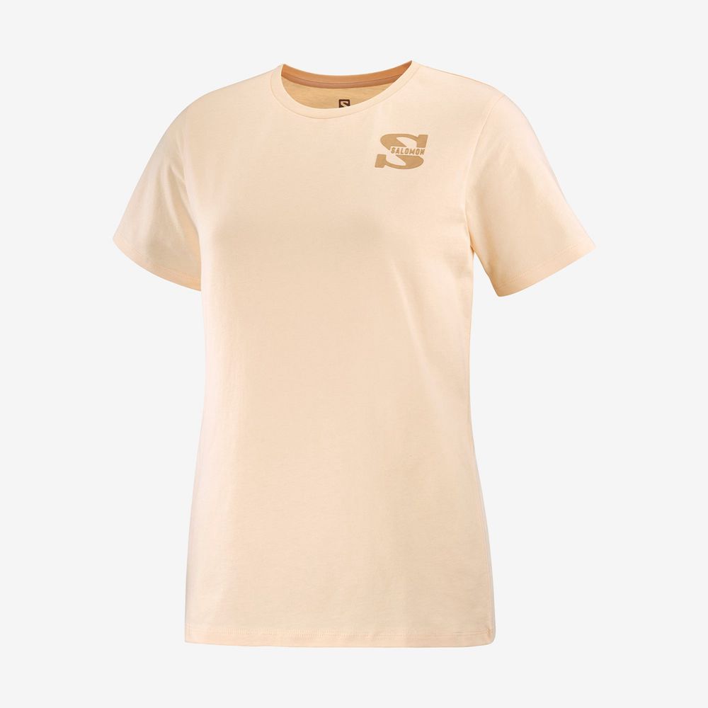 T Shirts Salomon OUTLIFE SMALL LOGO SS W Short Sleeve Femme Kaki | DKNCJ-4295