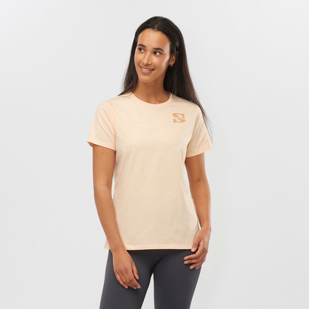 T Shirts Salomon OUTLIFE SMALL LOGO SS W Short Sleeve Femme Kaki | DKNCJ-4295