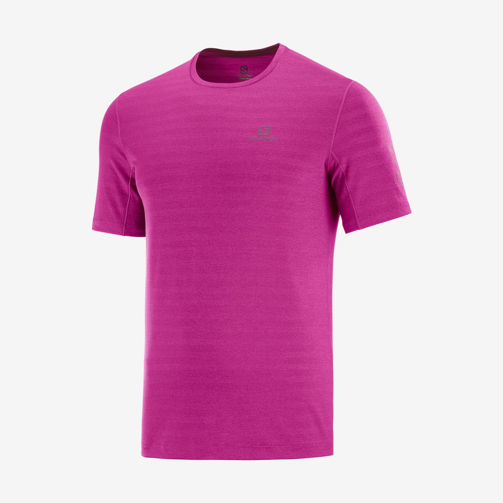 T Shirts Salomon OUTLINE New Trail Running Gear Homme Violette | VCHDS-1084