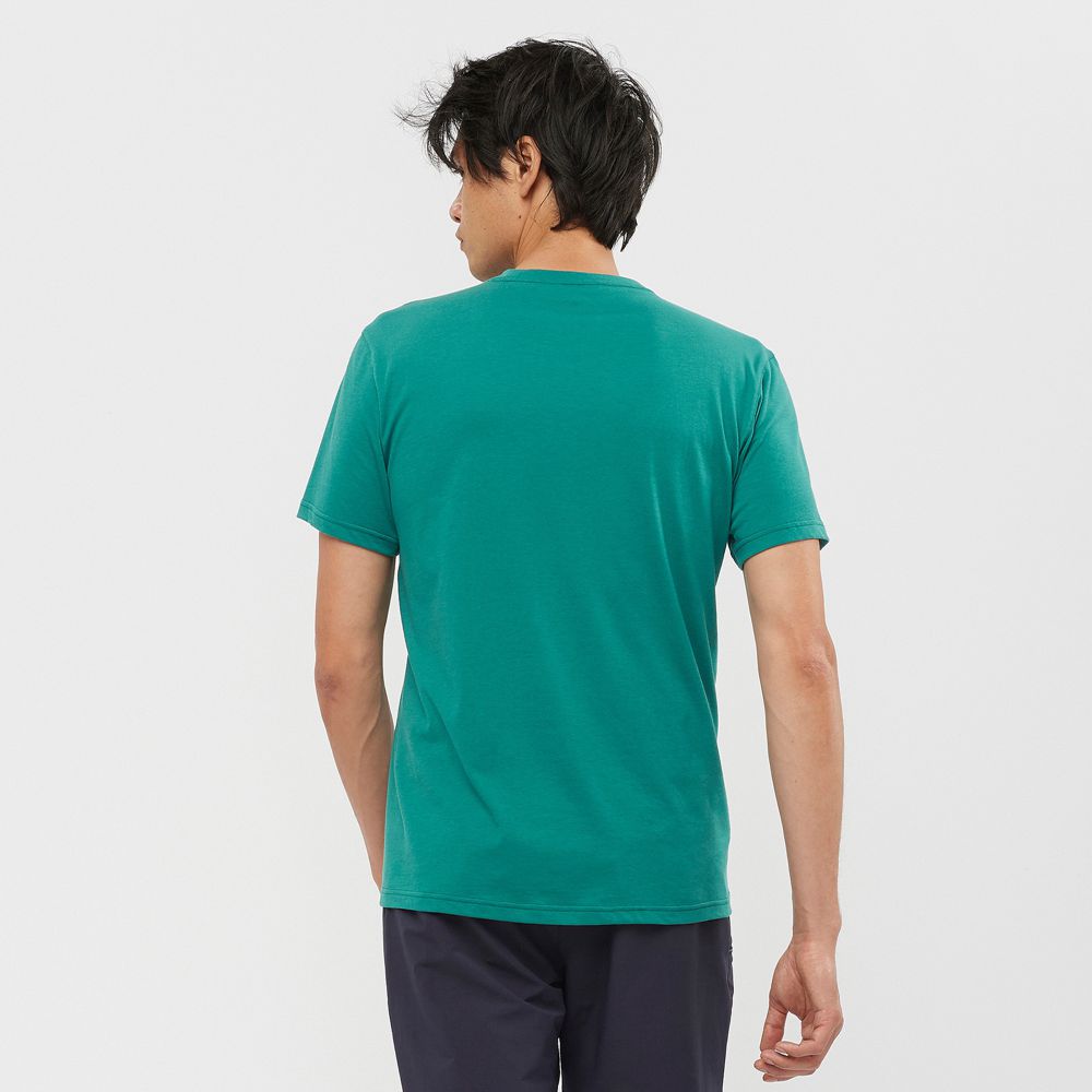 T Shirts Salomon OUTRACK BLEND Short Sleeve Homme Vert | OTUWE-0459