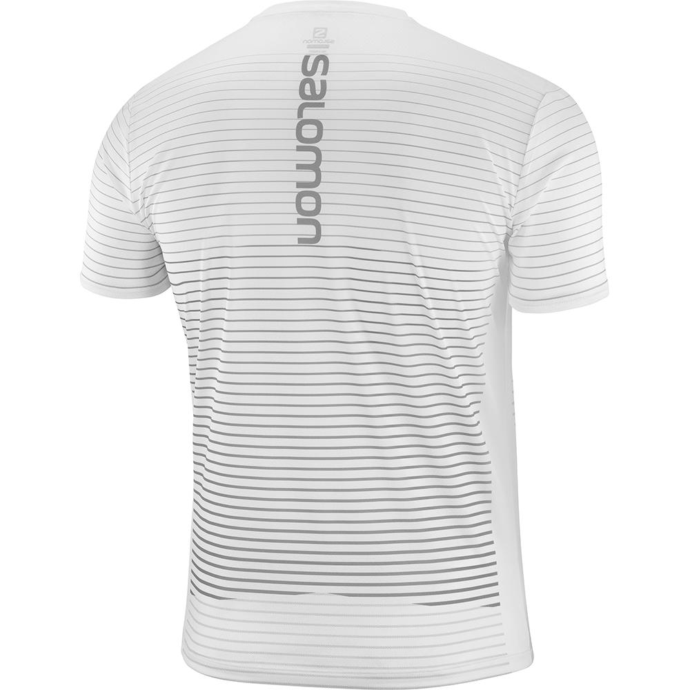 T Shirts Salomon SENSE M Homme Blanche | FMLXV-9310